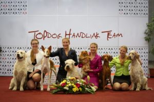 top dog handling team tým vystavování psů